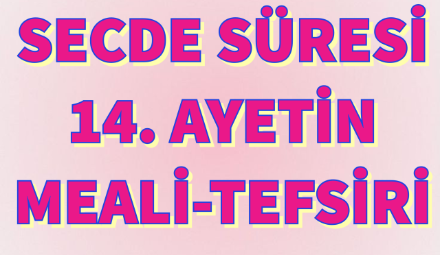 Adobe_Express_20241105_1851290_1