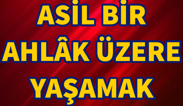 Adobe_Express_20241109_2125410_1