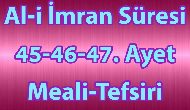 Adobe_Express_20241228_0016300_1