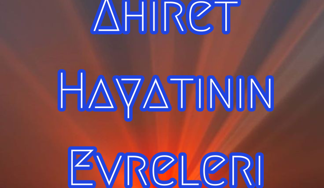 Adobe_Express_20241230_2017110_1