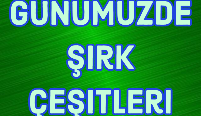 Adobe_Express_20241231_1622390_1