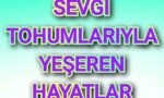sevgi tohumları