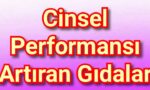 Cinsel performans