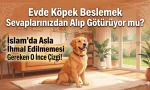 Evde köpek beslemek sadece bir tercih mi, yoksa her gün amel defterinizden eksilen 'iki kıratlık' bir kayıp mı? Peygamber Efendimiz’in (s.a.v) ihtiyaç dışı köpek besleme konusundaki çarpıcı uyarıları