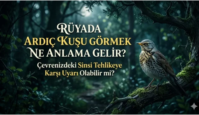 Rüyada ardıç kuşu görmek neye işarettir? Müsrif ve obur kimselere karşı neden dikkatli olmalısınız? Emeğinizi sömüren gizli kişilerin habercisi mi? İşte rüya tabiri...
