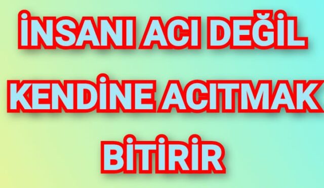 İnsanı acı değil